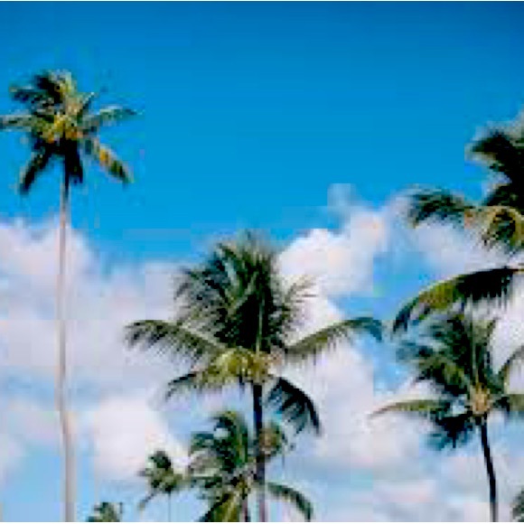 Meet your Posher, Neels - Picture 1 of 1